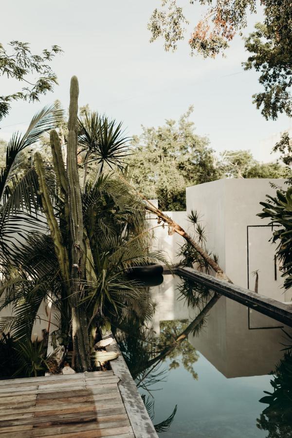 Hotel 16Tulum Exteriér fotografie